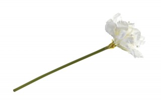 Amarylis kwiat sztuczny 65cm