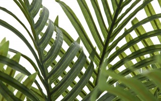 Sztuczna palma Areca 100 cm w czarnej donicy Art-Pol