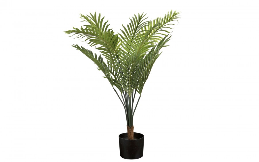 Roślina doniczkowa palma 100 cm