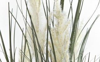 Sztuczna trawa pampasowa biała w donicy 75 cm