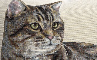 Poszewka dekoracyjna 45x45 cm Kocur 797 Gobelinowa Premium