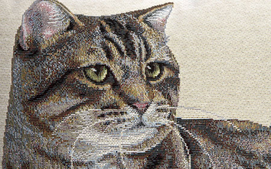 Poszewka dekoracyjna 45x45 cm Kocur 797 Gobelinowa Premium