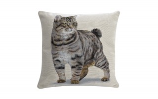 Poszewka dekoracyjna 45x45 cm Kocur 797 Gobelinowa Premium