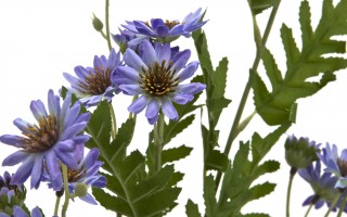 Marcinki Kwiat sztuczny 88 cm mix kolorów