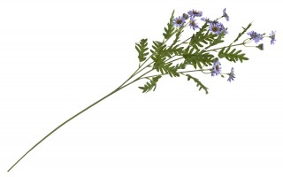 Marcinki Kwiat sztuczny 88 cm mix kolorów