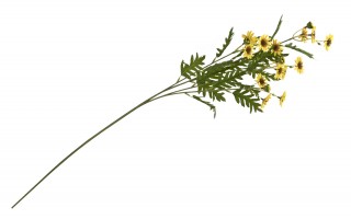 Marcinki Kwiat sztuczny 88 cm mix kolorów