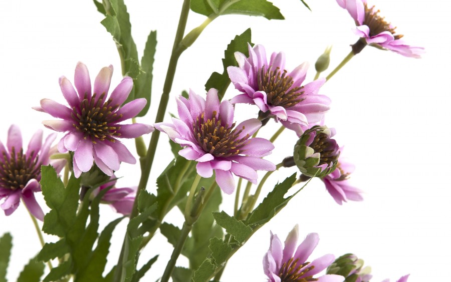 Marcinki Kwiat sztuczny 88 cm mix kolorów