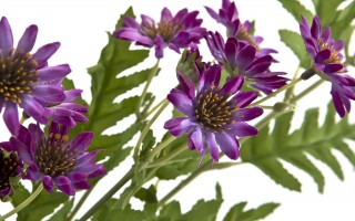 Marcinki Kwiat sztuczny 88 cm mix kolorów