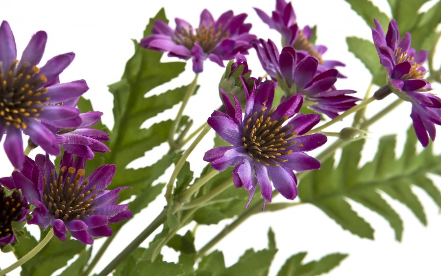 Marcinki Kwiat sztuczny 88 cm mix kolorów