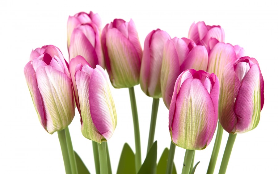 Bukiet 12 sztucznych tulipanów 38 cm różowo-białe