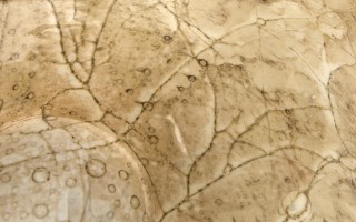 Patera szklana dekoracyjna Q-30 cm SR