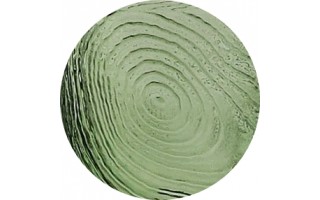 Kieliszek do szampana 150 ml Green Arbre
