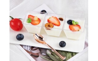 Pojemnik 120 ml SPACE “Finger Food” 24 szt.