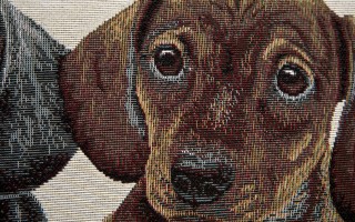 Poszewka dekoracyjna 45x45 cm Jamniki Gobelinowa Premium