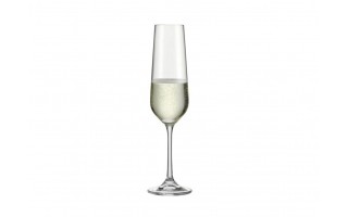 Kieliszek do szampana 210 ml Tori Titanium