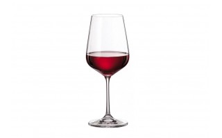 Kieliszek do wina czerwonego 490 ml Tori Titanium