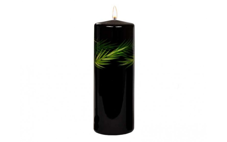 Świeca pieńkowa 20 cm Green Leaf czarna 200/70