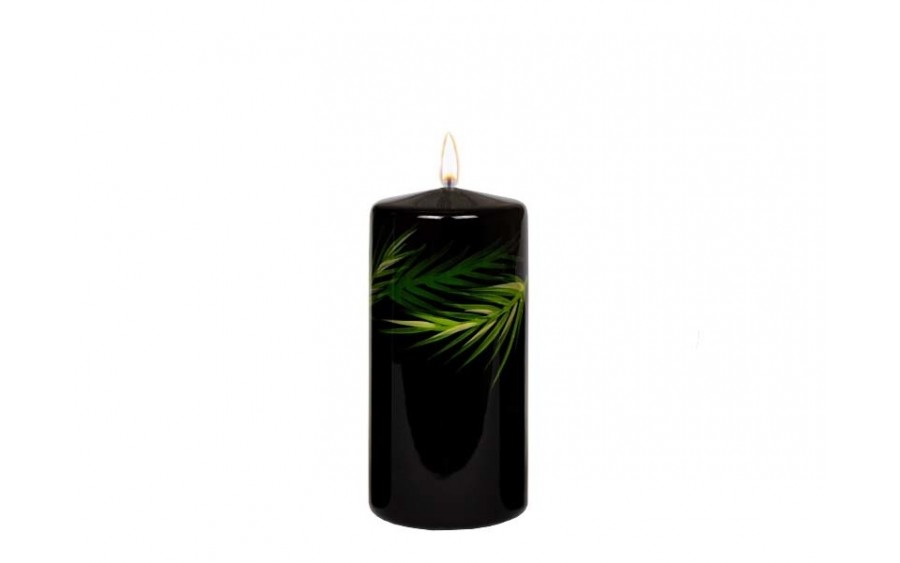 Świeca pieńkowa 15 cm Green Leaf czarna 200/70