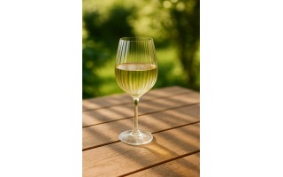 Kieliszek do wina białego 400 ml Sarah Waterfall/optyk