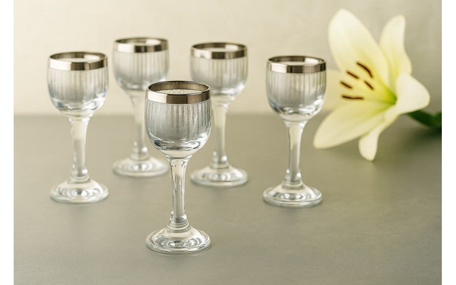 Komplet 6 kieliszków do wódki 25 ml Koral Platinium