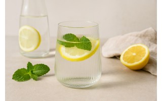 Szklanka do whisky 320 ml LYRA prążek niska