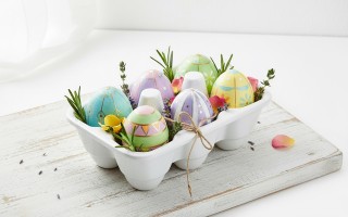 BASIC Talerz na jajka (6szt) 16,8x11,5x5 cm