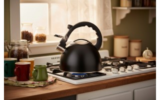 Czajnik tradycyjny z gwizdkiem 2,5 L Spark czarny