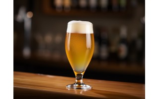 Pokal do piwa 580ml Cervoise