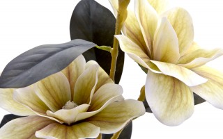 Kwiat sztuczny Magnolia 80 cm kremowy
