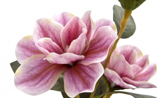 Kwiat sztuczny Magnolia 80 cm różowy