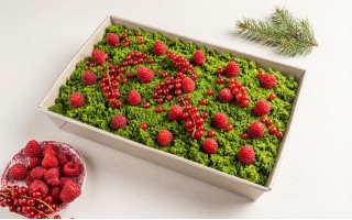 Forma do pieczenia 36x24 cm KH-1975