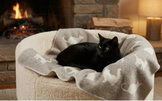 Koc dla zwierzaka 70x90 cm Beżowe Koty 71539379