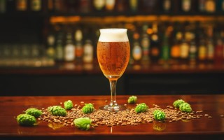 Szklanka do piwa Craft 410 ml