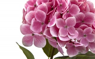 Kwiat sztuczny Hortensji 65 cm różowy 161510