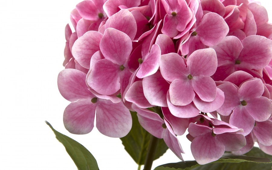 Kwiat sztuczny Hortensji 65 cm różowy 161510