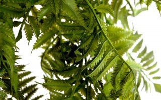 Kwiat sztuczny Paproć zwis 85 cm