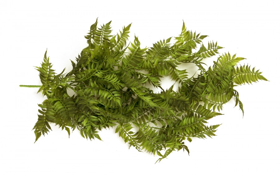 Kwiat sztuczny Paproć zwis 85 cm