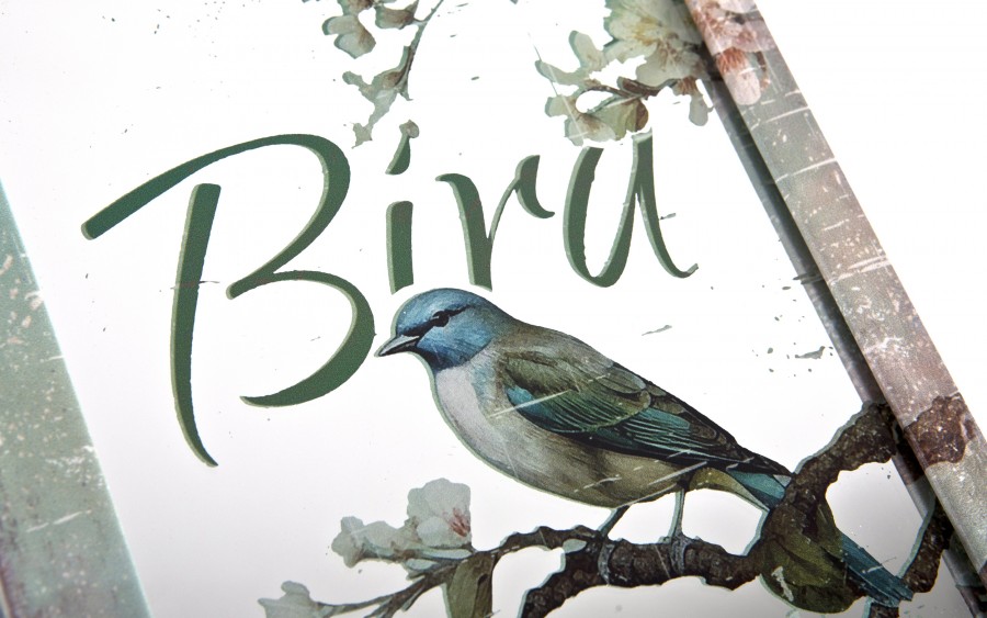 Pudełko szkatułka 27x18x5 cm Bird