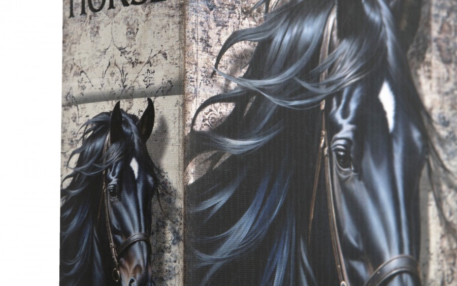 Zestaw 2 x Pudełko szkatułka Czarny Koń