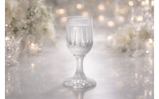 Kieliszek kryształowy do wódki 25 ml Zawiercie 890-1584 szroniony