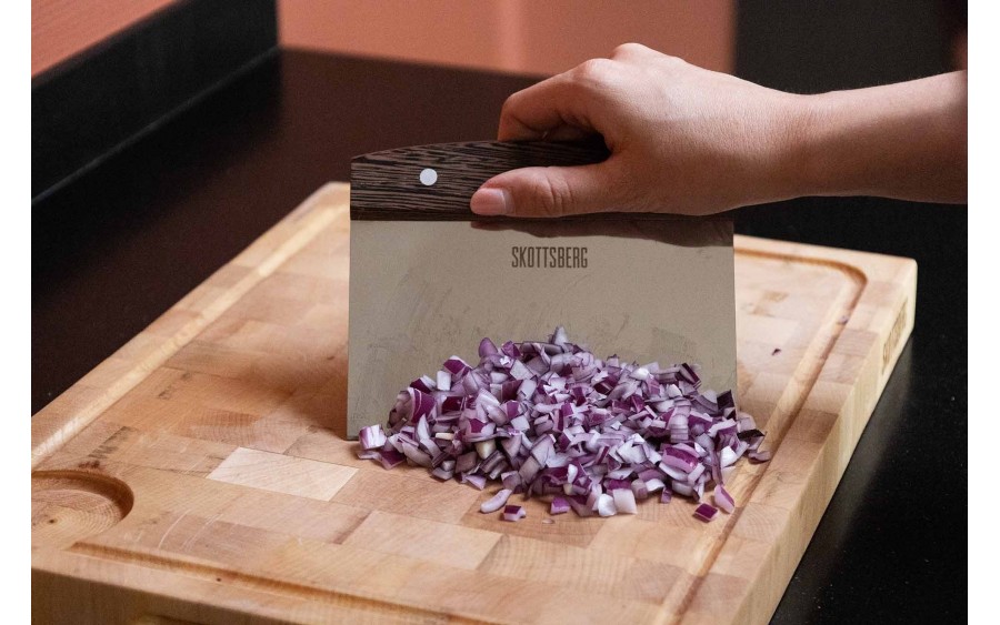 Skrobak siekacz szeroki Skottsberg