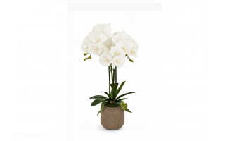 Sztuczny storczyk biały 30x26x76 cm CX0529