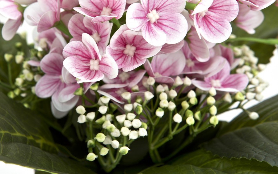 Sztuczny kwiat w doniczce Prymulka 26 cm mix kolorów