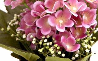 Sztuczny kwiat w doniczce Prymulka 26 cm mix kolorów