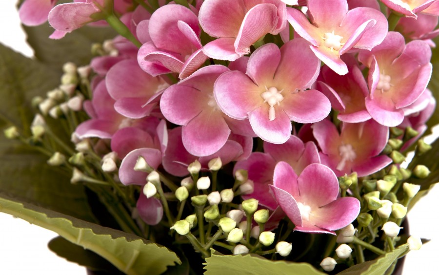 Sztuczny kwiat w doniczce Prymulka 26 cm mix kolorów