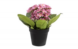 Sztuczny kwiat w doniczce Prymulka 26 cm mix kolorów