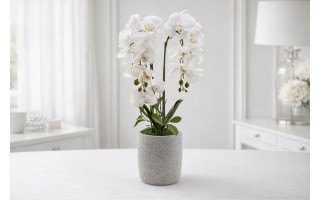 Sztuczny storczyk biały 24x16x56 cm CX0522