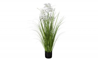 Sztuczna roślina Lilia Pajęcza 90x38x38 cm Hymenokallis