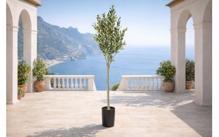 Sztuczna roślina Drzewko oliwkowe 150 cm