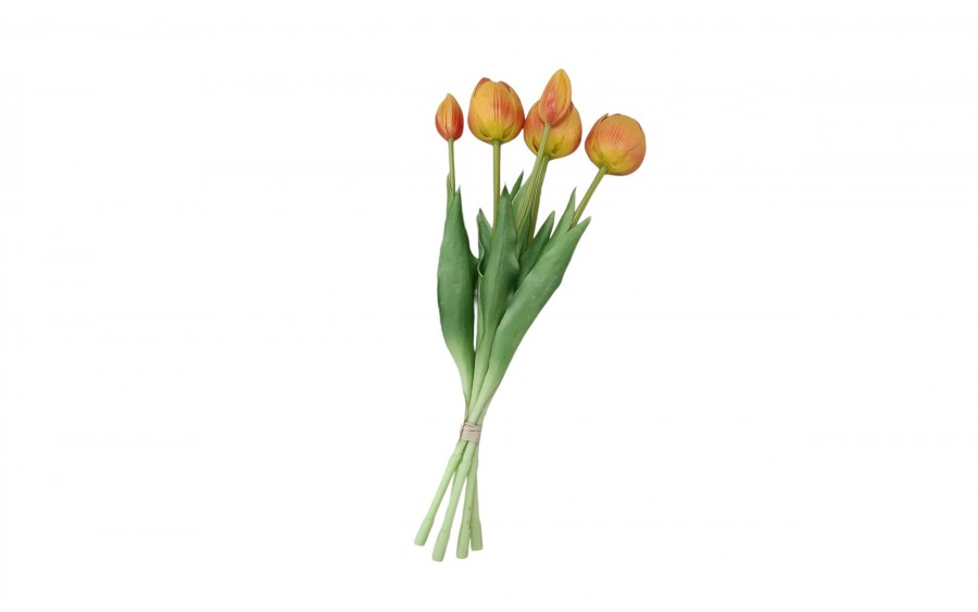 Bukiet 5 tulipanów pomarańczowych 39 cm CX0213
